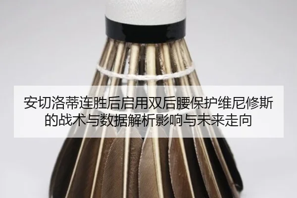 an-qie-luo-di-lian-sheng-hou-qi-yong-shuang-hou-yao-bao-hu-wei-ni-xiu-si-de-zhan-shu-yu-shu-ju-jie-xi-ying-xiang-yu-wei-2-541.jpg